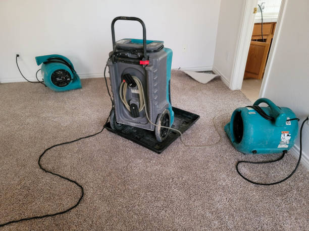 Best Commercial water damage restoration  in Chrisman, IL