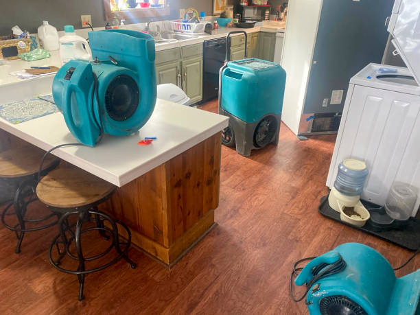 Best Local water damage restoration  in Chrisman, IL