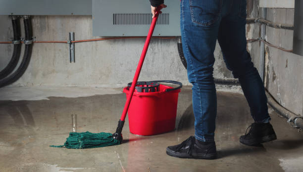 Best 24-hour water damage restoration  in Chrisman, IL