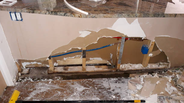 Best Mold removal after water damage  in Chrisman, IL