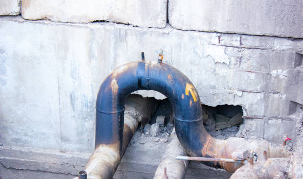 Best 24/7 water damage repair  in Chrisman, IL
