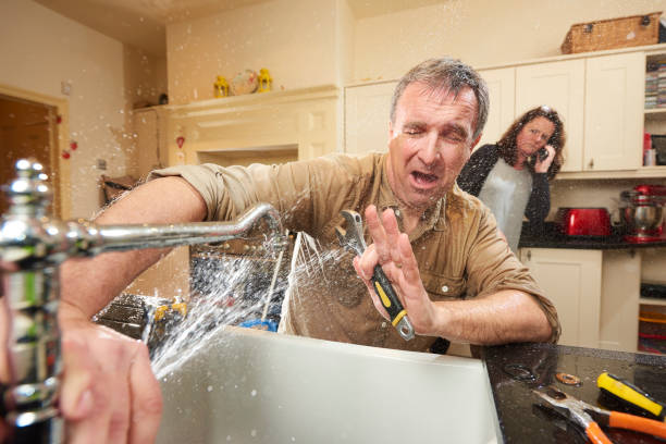 Best Professional water damage repair  in Chrisman, IL